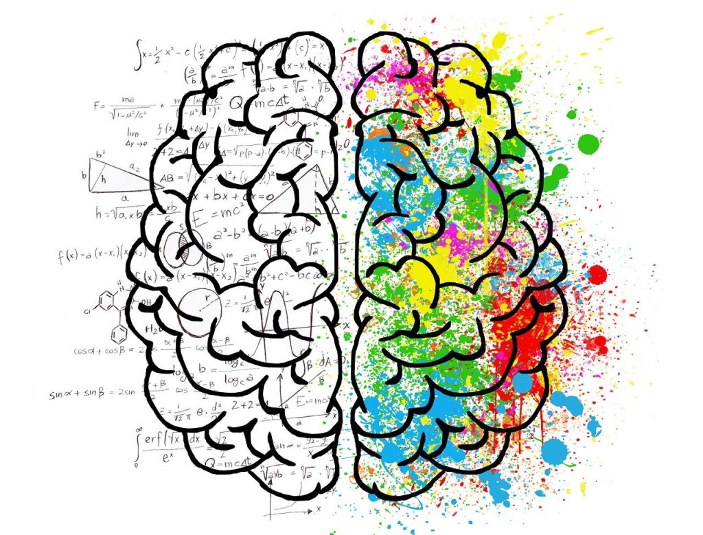 Cerveau hémisphère droit (créatif) , gauche (logique)